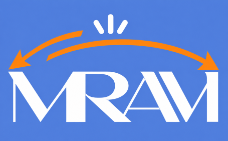 MRAVI LTD